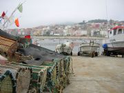 Nansas en el puerto de A Guarda. Pontevedra